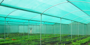 راهنمای انتخاب توری سایهانداز و سازه مناسب برای باغ های مدرن ( بخش دوم ) راهنمای انتخاب توری سایهانداز و سازه مناسب برای باغ های مدرن ( بخش دوم )